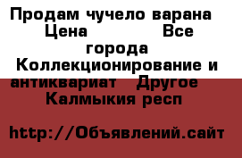 Продам чучело варана. › Цена ­ 15 000 - Все города Коллекционирование и антиквариат » Другое   . Калмыкия респ.